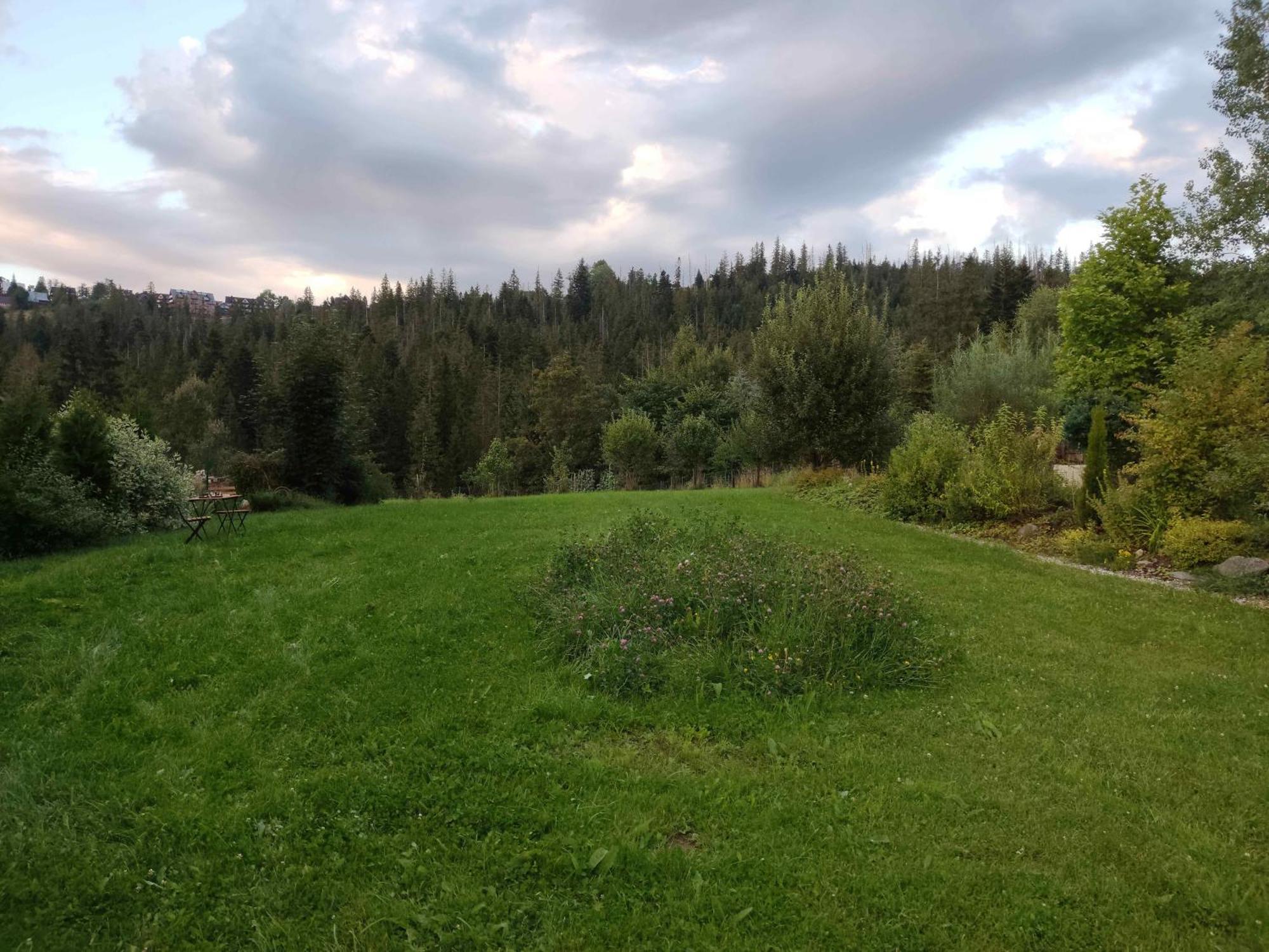 Prymulka Hotel Zakopane Kültér fotó
