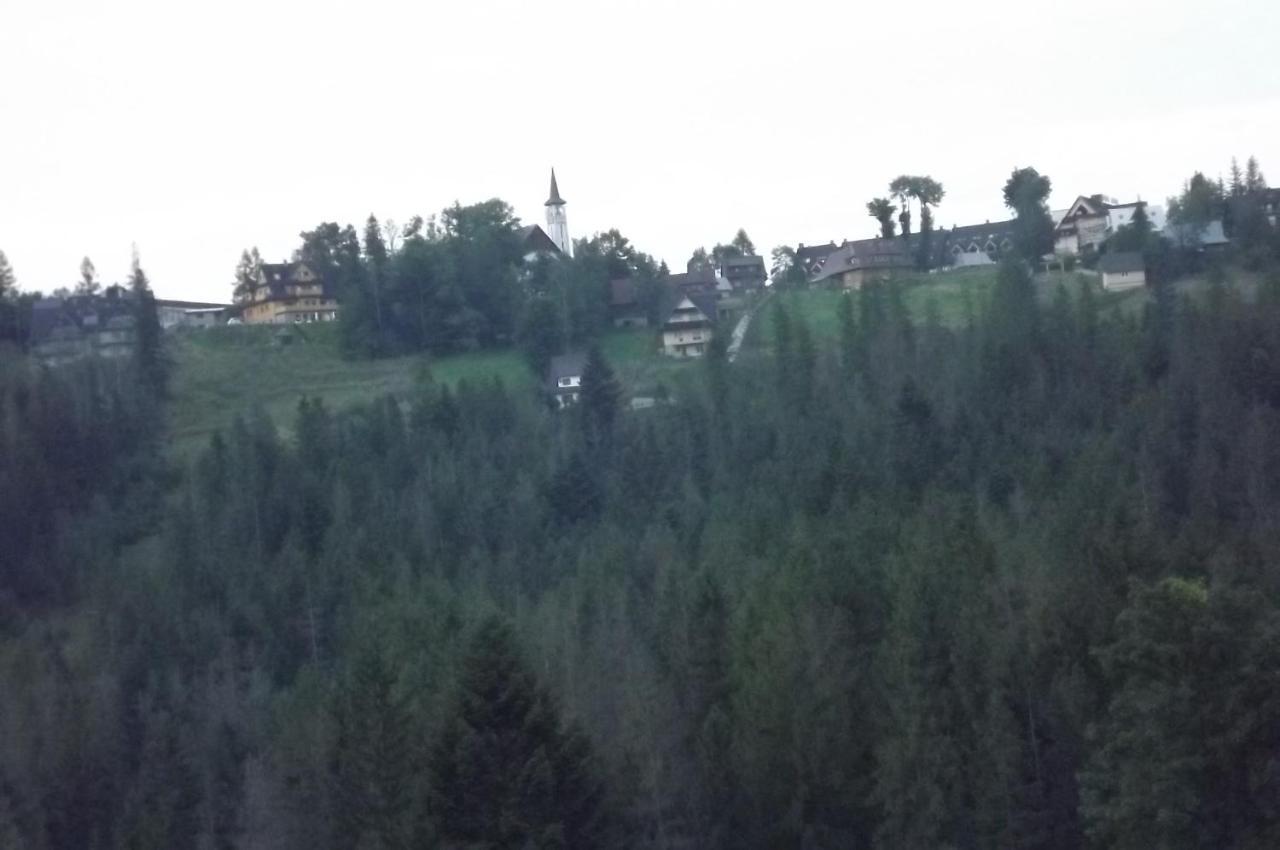 Prymulka Hotel Zakopane Kültér fotó